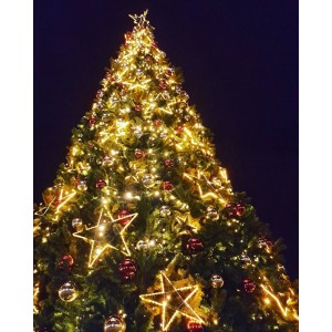 Дизайны для каркасных елей Дизайны для каркасных елей