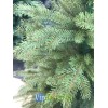 Ель Женева ( с иголками РЕ) Ель Женева ( с иголками РЕ)