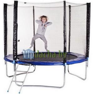 Батут складной с защитной сеткой и лестницей FunFit 2,52 метра Батут складной с защитной сеткой и лестницей FunFit 2,52 метра